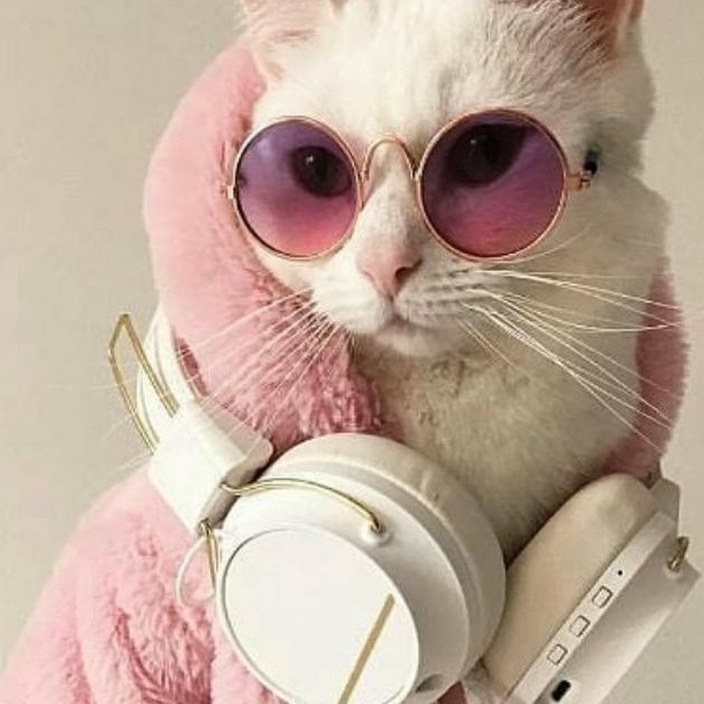 Meet your Posher, Peggy